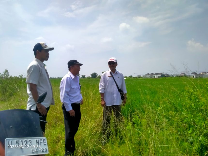 Petugas dari Balai Harta Peninggalan (BHP) Surabaya mengecek dua obyek lelang di Desa Damarsi, Sedati, Sidoarjo,