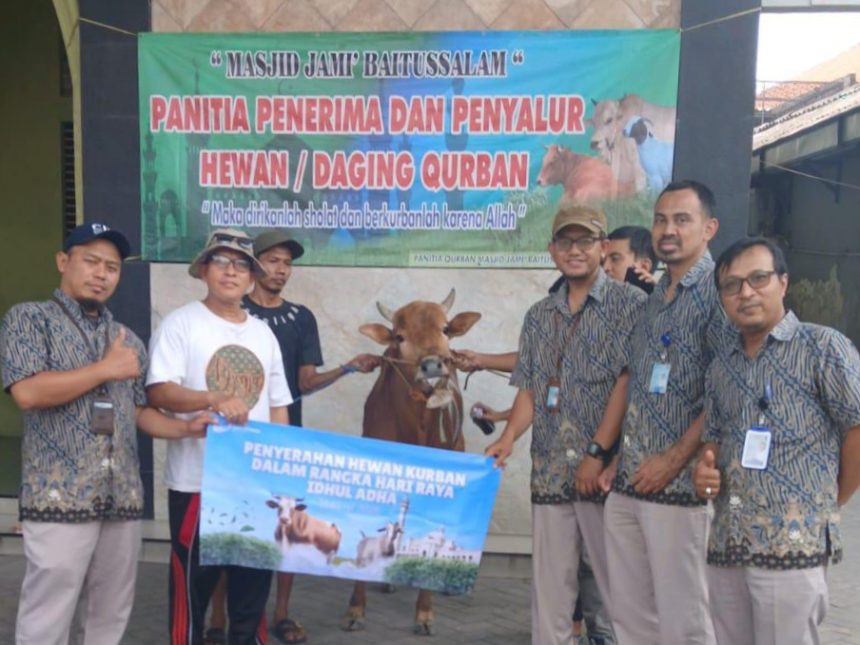 Jajaran Perumda Surya Sembada menyalurkan hewan kurban kepada salah satu takmir masjid di Surabaya.