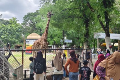 Suasana Kebun Binatang Surabaya yang masih menjadi jurusan masyarakat sekitar untuk mengisi hari libur bersama keluarga.