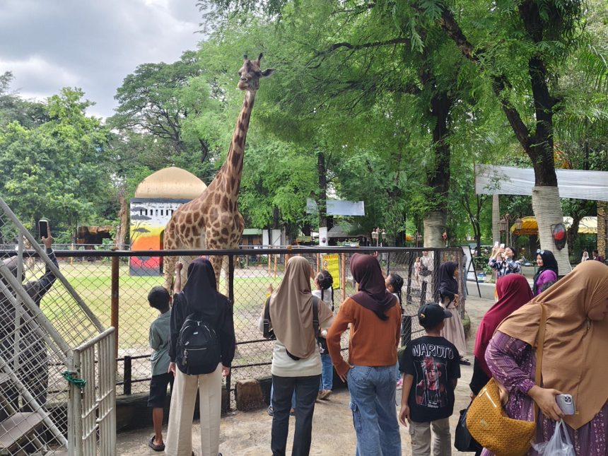 Suasana Kebun Binatang Surabaya yang masih menjadi jurusan masyarakat sekitar untuk mengisi hari libur bersama keluarga.