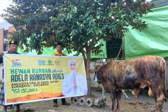 Anggota DPR RI Dapil Surabaya–Sidoarjo, Adela Kanasya Adies, dengan menyalurkan 46 kambing dan 5 sapi kurban kepada warga.